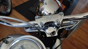 Harley-Davidson   (10)