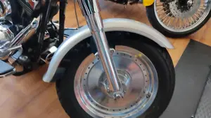 Harley-Davidson   (11)