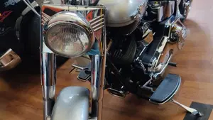 Harley-Davidson   (12)