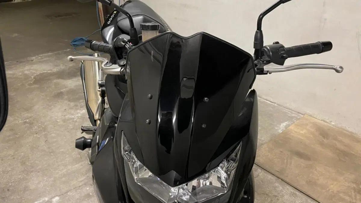 Kawasaki Z 1000 (2007 - 09)  (5)