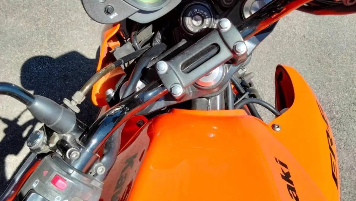 Kawasaki ER-6N (2006 - 09)  (4)