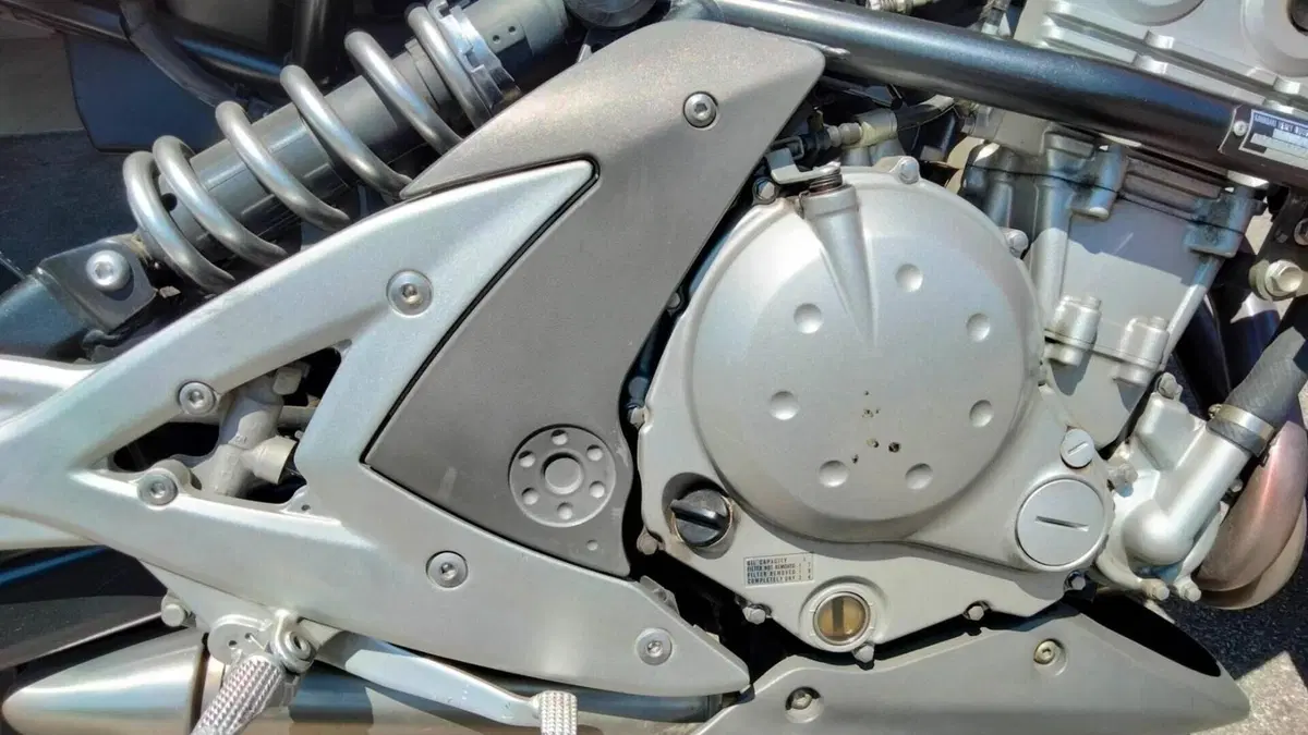 Kawasaki ER-6N (2006 - 09)  (10)