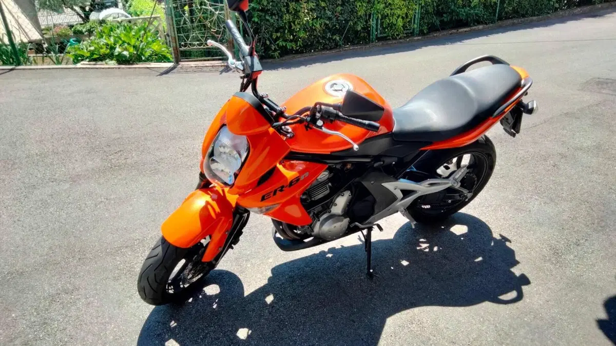 Kawasaki ER-6N (2006 - 09)  (2)