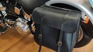 Harley-Davidson   (17)