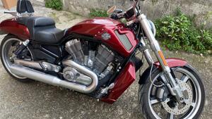 Harley-Davidson 1250 V-Rod Muscle (2009 - 17) - VRSCF 