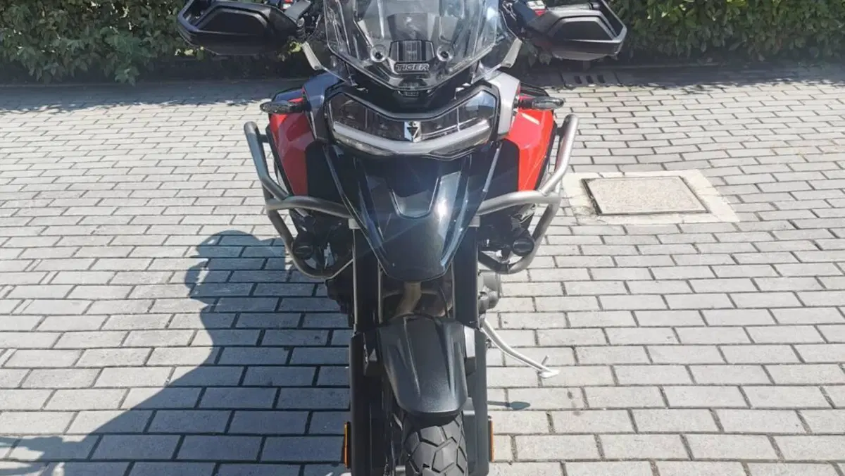 Triumph Tiger 1200 GT Pro (2022 - 23)  (10)