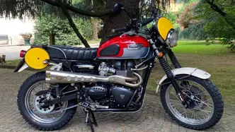 Triumph Scrambler (2006 - 17) usata