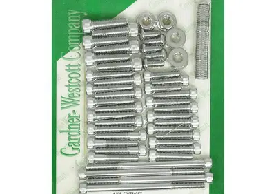 Kit viti cromate coperchi primaria, ispezione, fri  - Annuncio 9099183