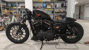Harley-Davidson 883 Iron (2009 - 11) - XL 883N 
