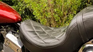 Yamaha   (11)