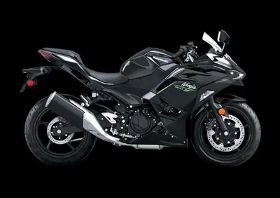 Kawasaki Ninja 500 (2024 - 26) - Annuncio 9488080