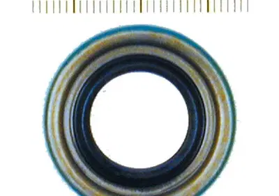 Paraolio doppio labbro per motorino avviamento per  - Annuncio 9048493