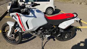 Ducati DesertX (2022 - 25) 