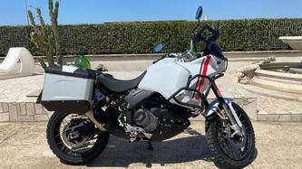 Ducati DesertX (2022 - 24) usata