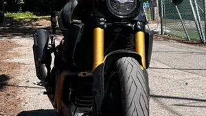 Indian FTR 1200 S (2019 - 20)  (7)