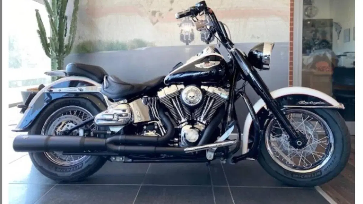 Harley-Davidson 1585 Softail Deluxe (2011) - FLSTN 