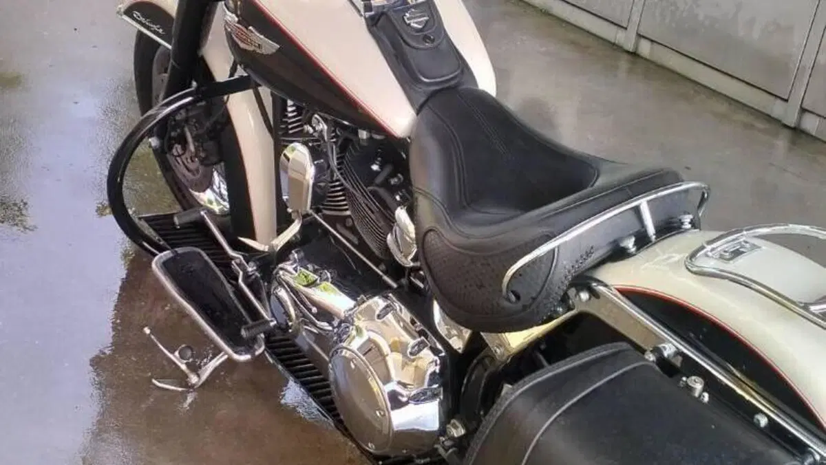 Harley-Davidson 1585 Softail Deluxe (2011) - FLSTN  (8)
