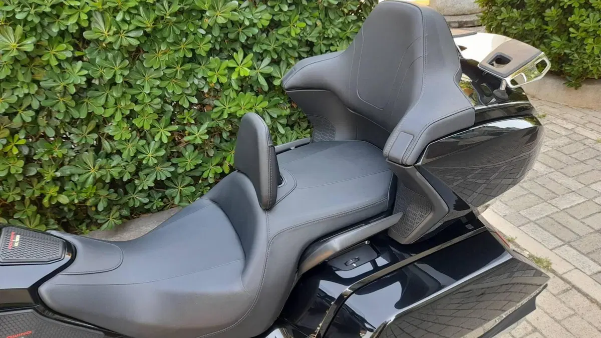 Honda GL 1800 Gold Wing Tour (2020)  (7)
