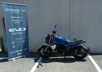 Peugeot PM-03 300 (2024 - 25) - Annuncio 9502821
