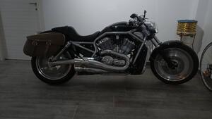 Harley-Davidson 1130 V-Rod (2002 - 05) - VRSCA 