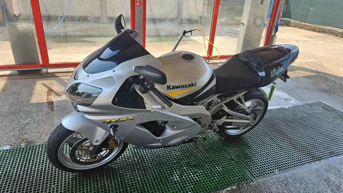 Kawasaki Ninja 900 ZX-9R (2002 - 05)  (15)