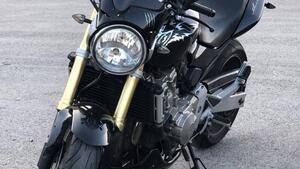 Honda Hornet 600 (2005 - 06) 