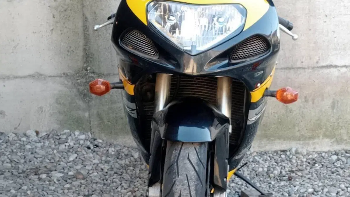 Suzuki GSX R 750 (1999 - 03)  (4)
