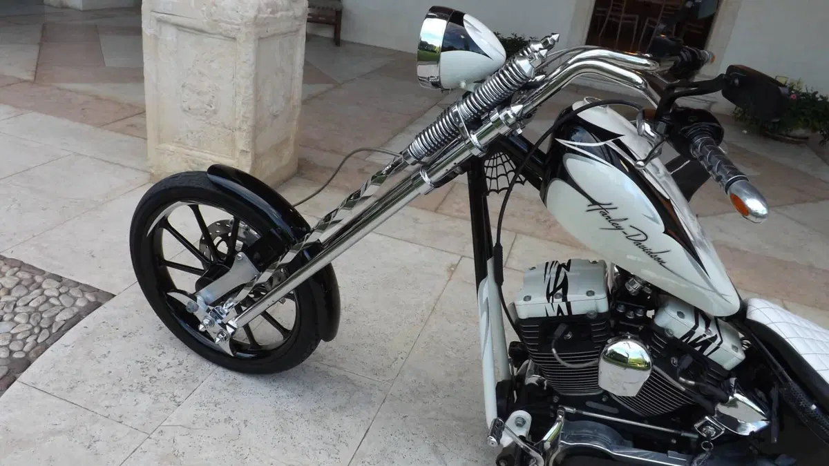 Harley-Davidson 1450 Deluxe (2005 - 06) - FLSTNI  (12)