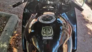 Kawasaki ZZR 600 (1990 - 00)  (6)