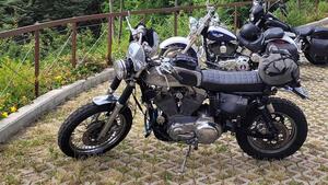 Harley-Davidson 883 Standard (1987 - 93) - XLH 