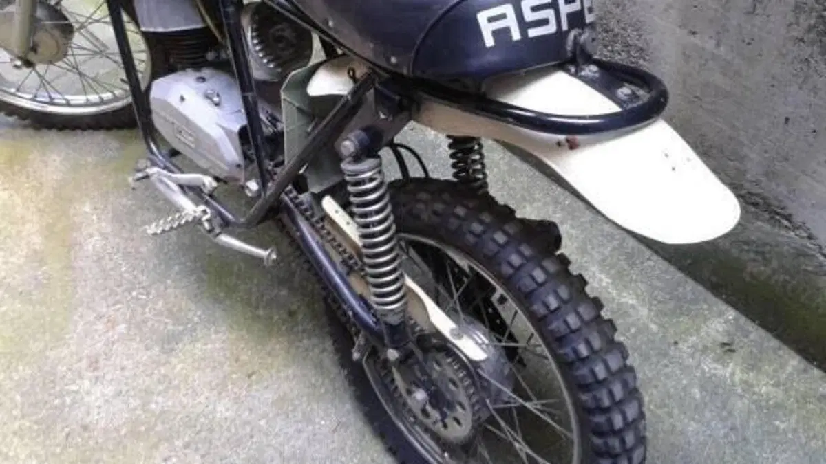 Aspes   (15)