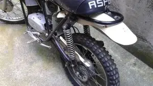 Aspes   (15)