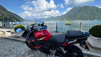 Yamaha YZF R6 (2005) usata