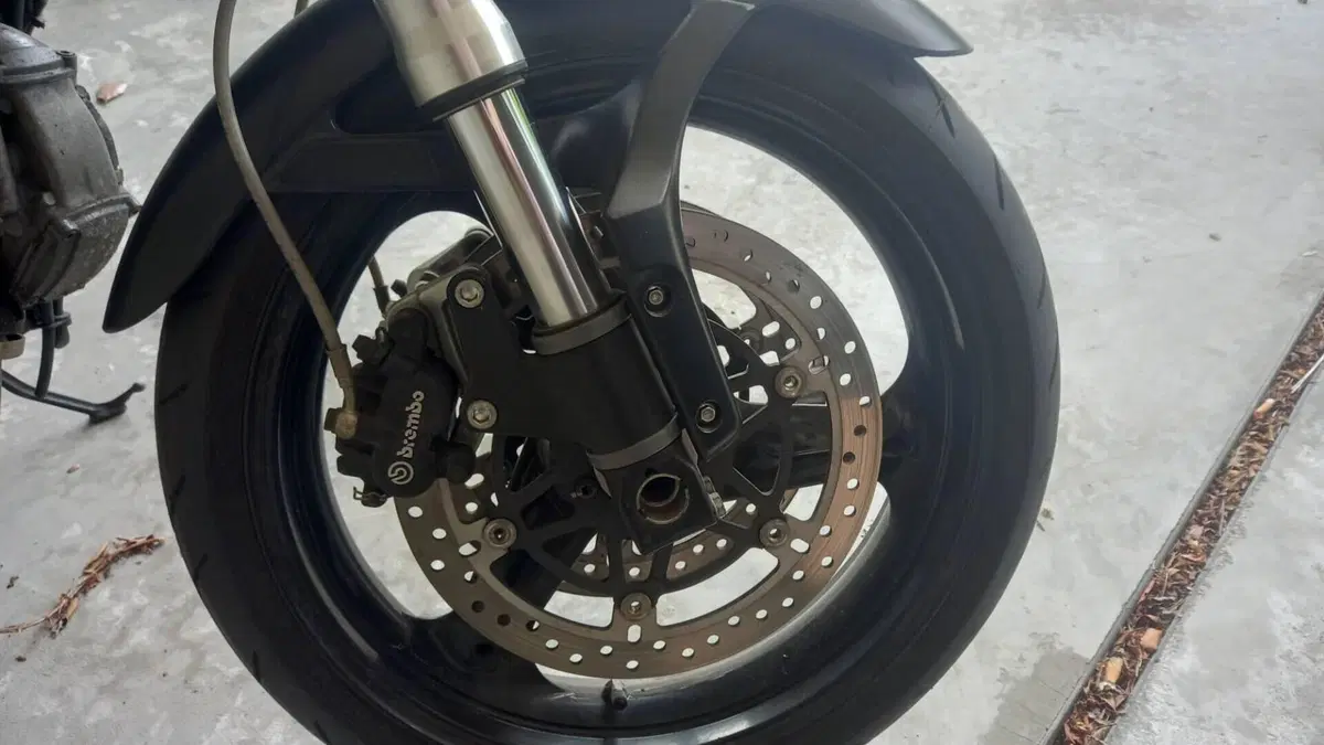 Ducati Monster 695 (2006 - 08)  (6)