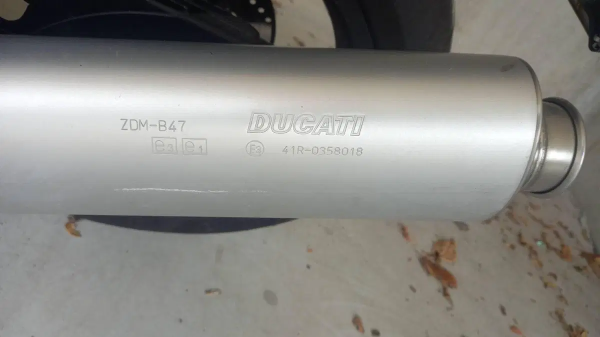 Ducati Monster 695 (2006 - 08)  (5)