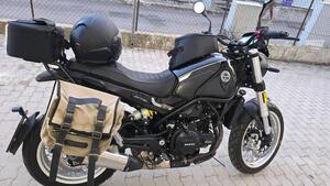 Benelli Leoncino 500 Trail (2021 - 25) 