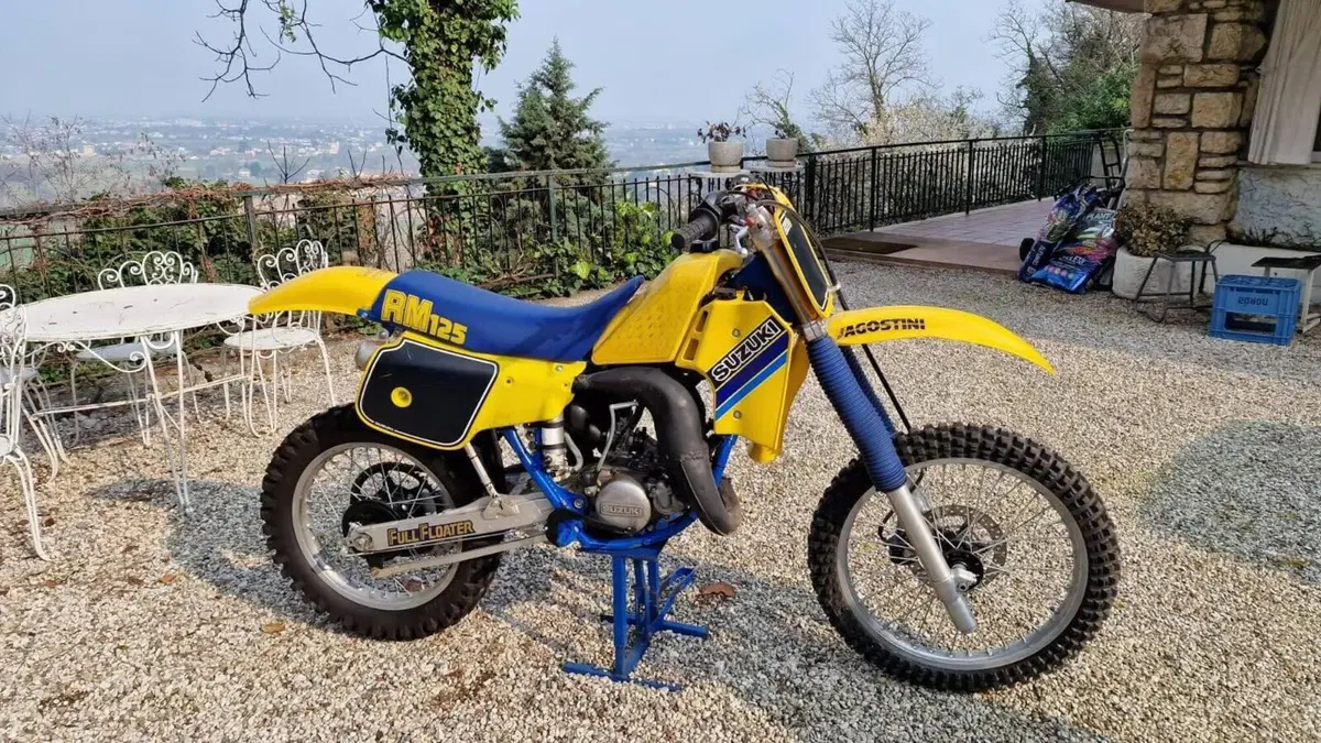 Suzuki   (2)