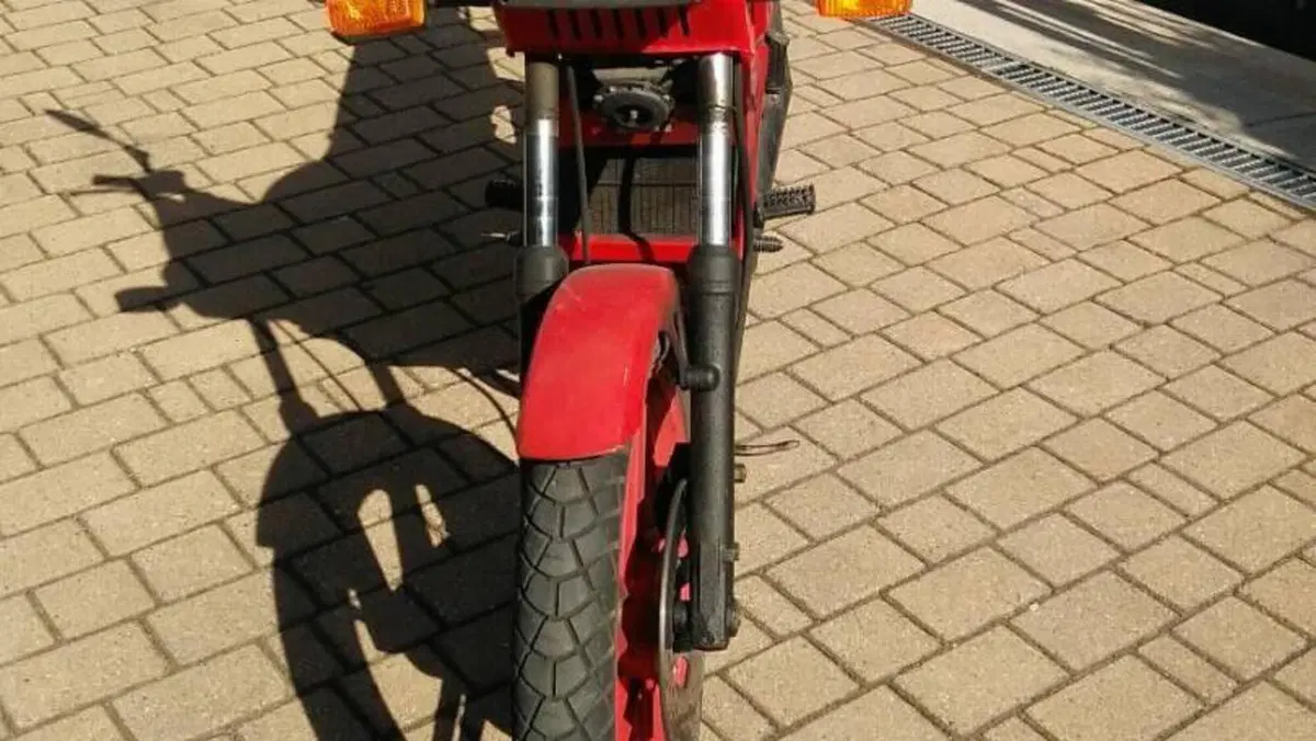 Fantic Motor   (2)