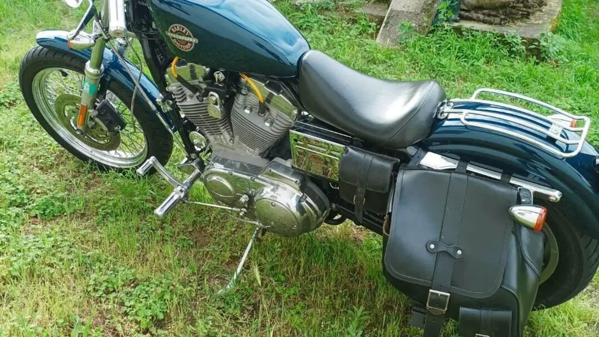 Harley-Davidson 883 Standard (2001 - 05) - XL 883  (2)