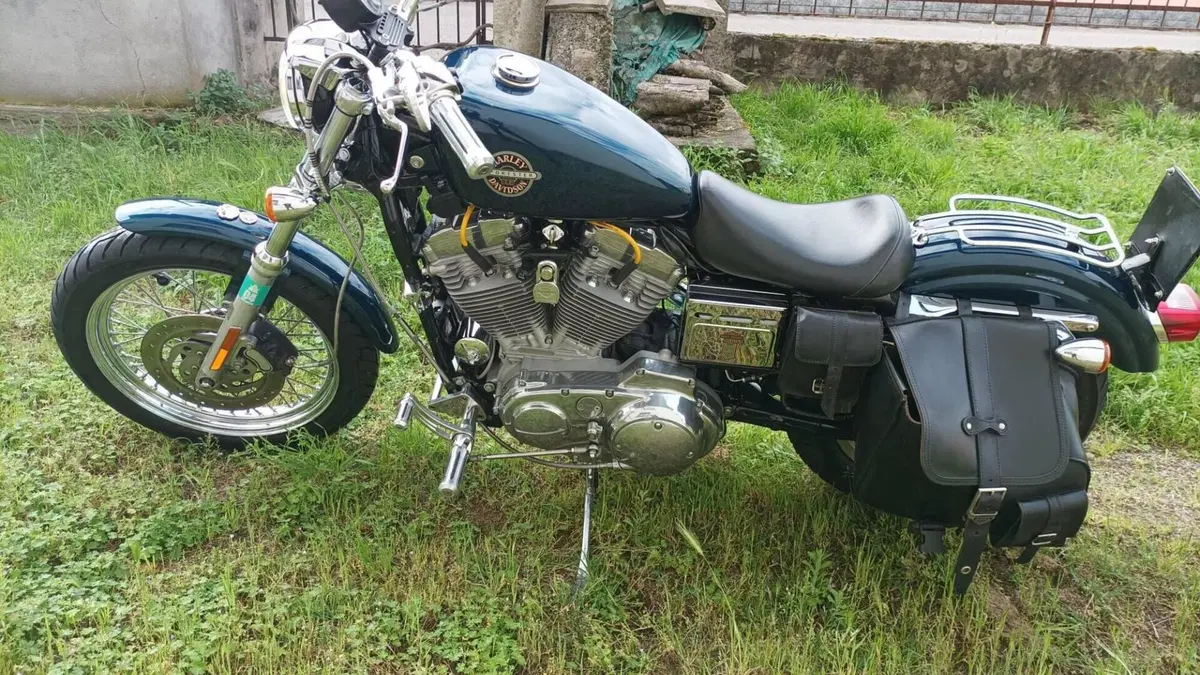 Harley-Davidson 883 Standard (2001 - 05) - XL 883  (3)