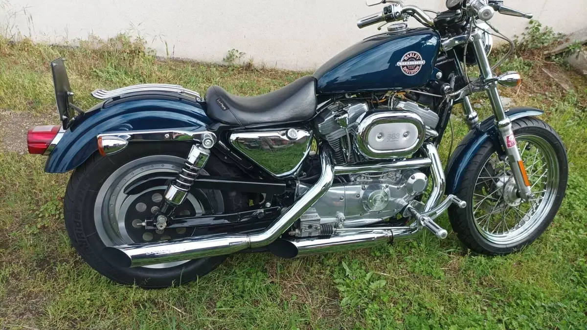 Harley-Davidson 883 Standard (2001 - 05) - XL 883  (5)