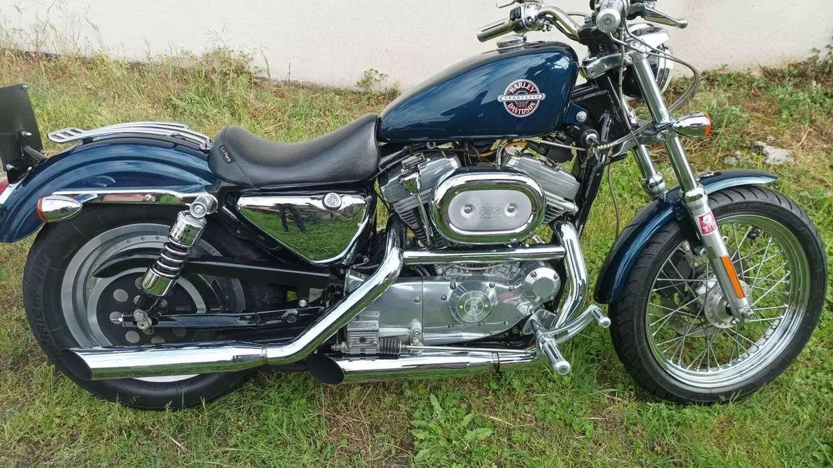 Harley-Davidson 883 Standard (2001 - 05) - XL 883  (6)