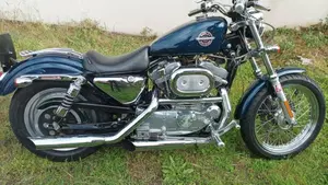 Harley-Davidson 883 Standard (2001 - 05) - XL 883  (6)