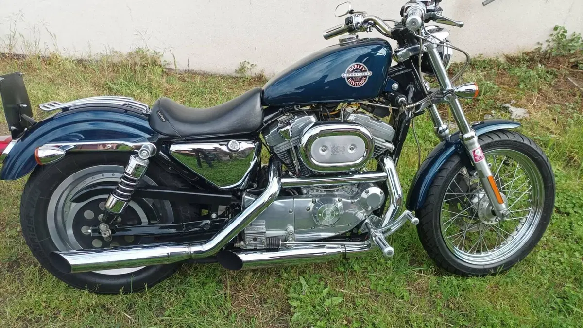 Harley-Davidson 883 Standard (2001 - 05) - XL 883  (7)