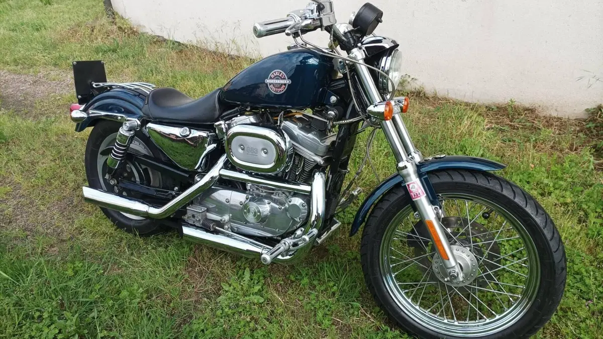 Harley-Davidson 883 Standard (2001 - 05) - XL 883  (8)