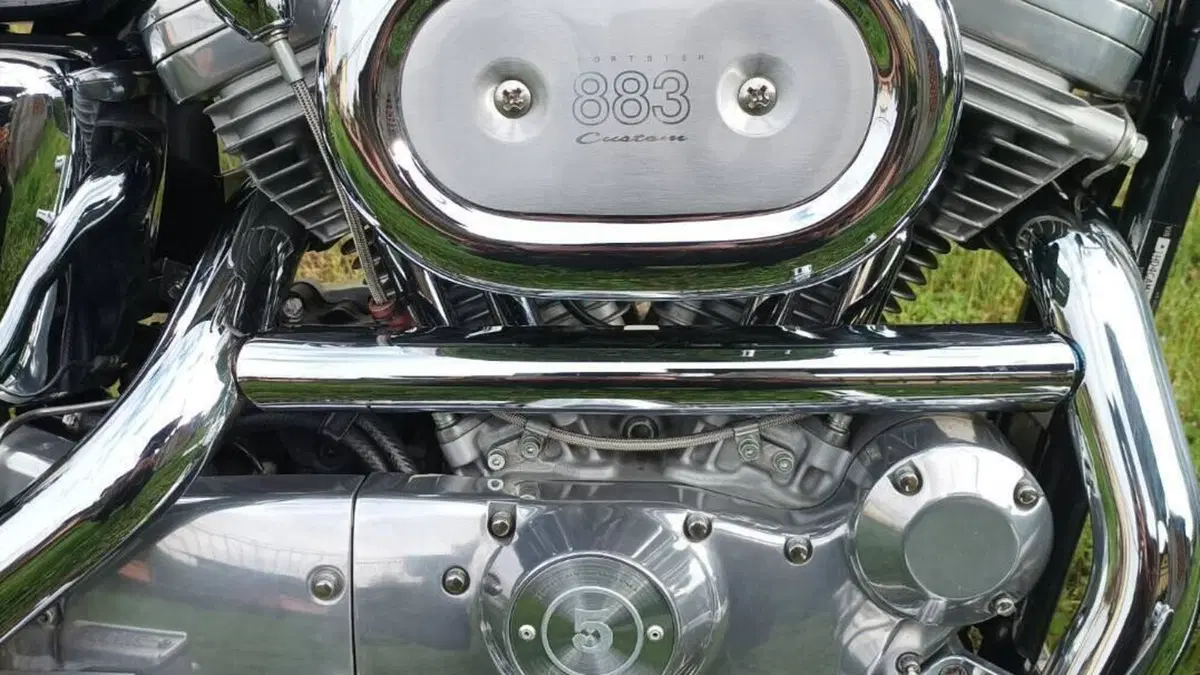 Harley-Davidson 883 Standard (2001 - 05) - XL 883  (9)