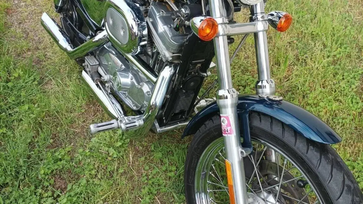 Harley-Davidson 883 Standard (2001 - 05) - XL 883  (11)
