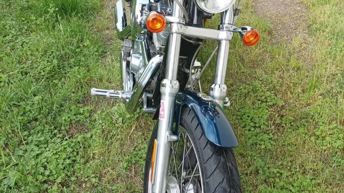 Harley-Davidson 883 Standard (2001 - 05) - XL 883  (12)