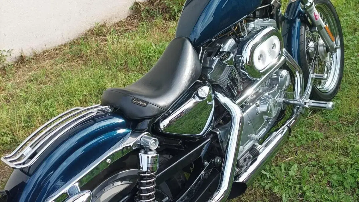 Harley-Davidson 883 Standard (2001 - 05) - XL 883  (14)
