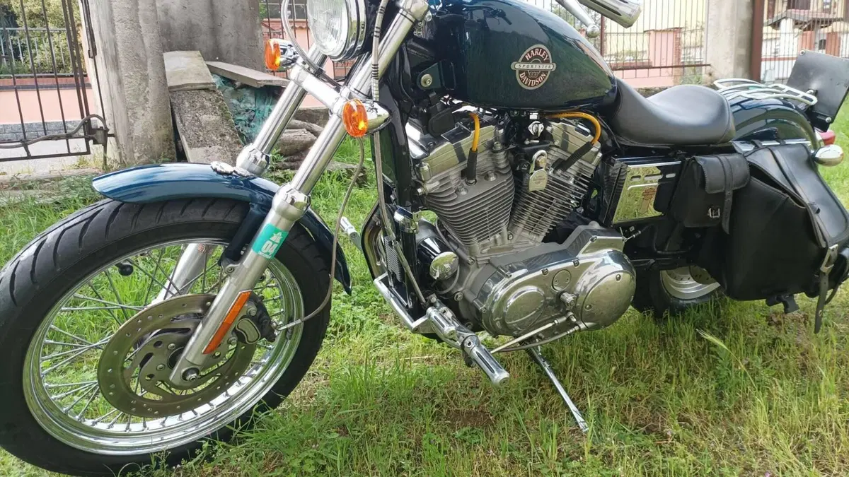 Harley-Davidson 883 Standard (2001 - 05) - XL 883  (17)